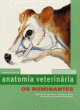 atlas colorido de anatomia veterin&aacute;ria - os ruminantes