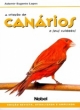 a cria&ccedil;&atilde;o de can&aacute;rios e os seus cuidados