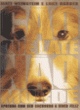 c&atilde;o que late n&atilde;o morde