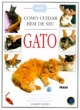 como cuidar bem do seu gato