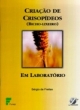 cria&ccedil;&atilde;o de crisop&iacute;deos (bicho-licheiro) em laborat&oacute;rio