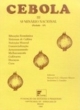 iii semin&aacute;rio nacional da cebola
