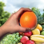 III Simp�sio Brasileiro sobre Nutri��o de Plantas Aplicada em Sistemas de Alta Produtividade