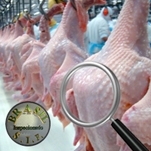 II Curso de Atualiza��o em Inspe��o Sanit�ria de POA e Defesa Sanit�ria Animal