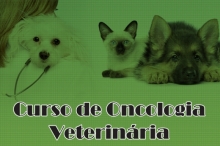 Curso de Oncologia Veterin�ria