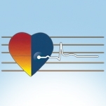 3� Curso de Aperfei�oamento em Cardiologia Veterin�ria