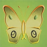 VI Curso de Inverno em Entomologia Agrícola