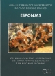 esponjas - guia ilustrado dos invertebrados da praia do cabo branco