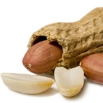 IX ENCONTRO SOBRE A CULTURA DO AMENDOIM