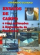 ensaios de campo e suas aplica&ccedil;&otilde;es &agrave; engenharia de funda&ccedil;&otilde;es